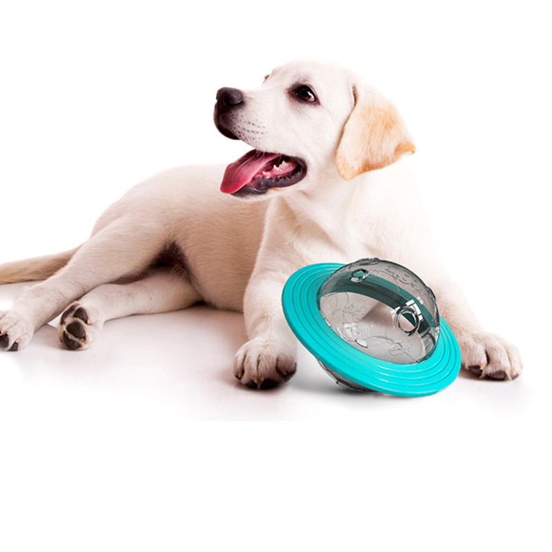 Fly Disc Slow Food Feeder Ball