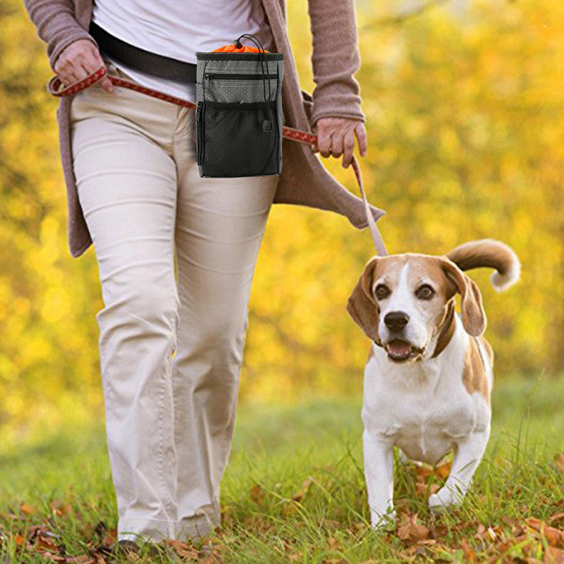 Dog Training Bag